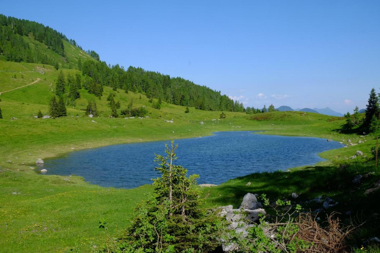 Casa Della Rosa Dolomites Experience Hotell Vigo di Cadore Eksteriør bilde