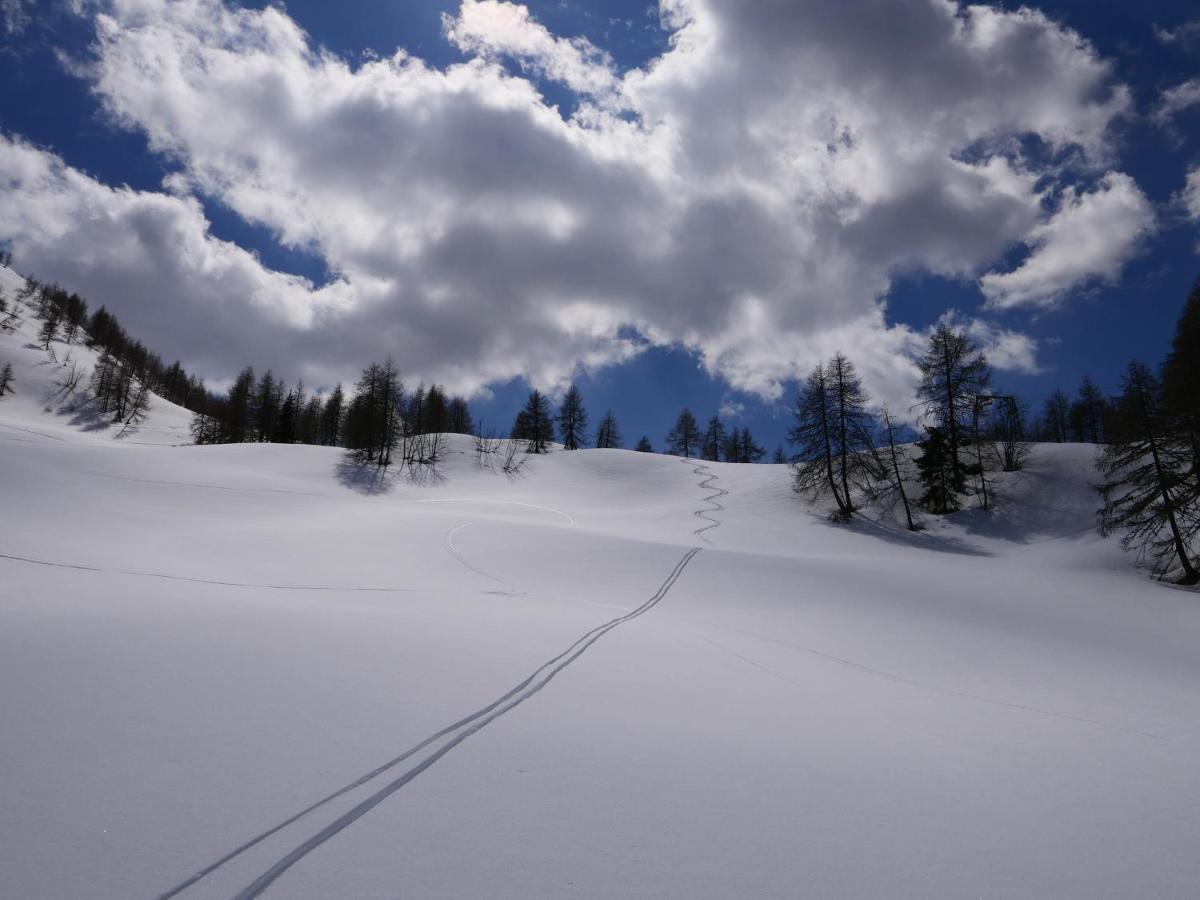 Casa Della Rosa Dolomites Experience Hotell Vigo di Cadore Eksteriør bilde